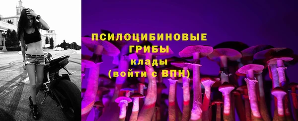 мдпв Переславль-Залесский