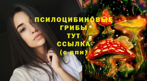jwh Пестово