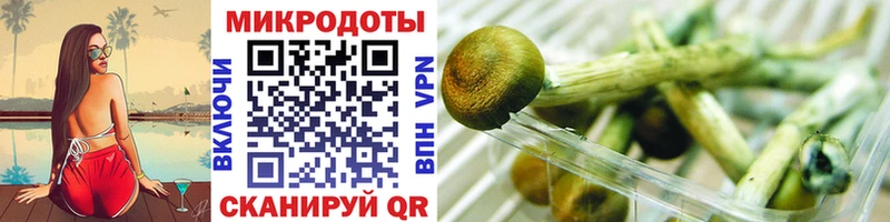 где можно купить   Ейск  Галлюциногенные грибы GOLDEN TEACHER 