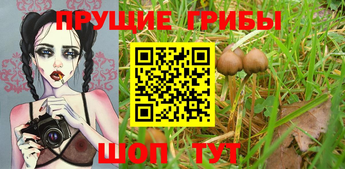 Псилоцибиновые грибы прущие грибы Ейск