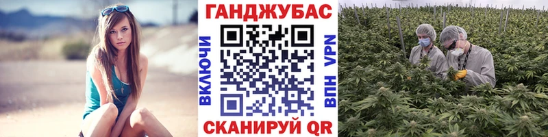 Каннабис OG Kush  цены   Ейск 